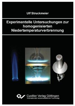 Experimentelle Untersuchungen zur homogenisierten Niedertemperaturverbrennung (eBook, PDF)
