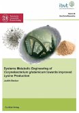 Systems Metabolic Engineering of Corynebacterium glutamicum towards improved Lysine Production (eBook, PDF)
