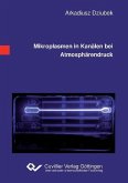 Mikroplasmen in Kanälen bei Atmosphärendruck (eBook, PDF)