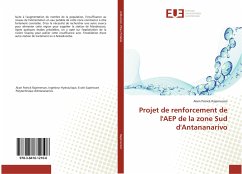 Projet de renforcement de l'AEP de la zone Sud d'Antananarivo - Rajernerson, Alain Patrick