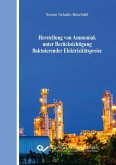 Herstellung von Ammoniak unter Berücksichtigung fluktuierender Elektrizitätspreise (eBook, PDF)