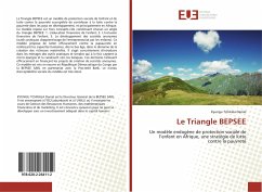 Le Triangle BEPSEE - Tchikala Daniel, Kyungu