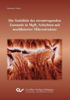 Cover Die Stabilität des stromtragenden Zustands in MgB2 Schichten mit modifizierter Mikrostruktur (eBook, PDF)