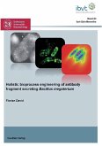 Holistic bioprocess engineering of antibody fragment secreting Bacillus megaterium (eBook, PDF)