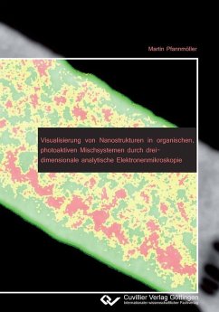 Cover Visualisierung von Nanostrukturen in organischen, photoaktiven Mischsystemen durch dreidimensionale analytische Elektronenmikroskopie (eBook, PDF)