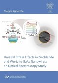 Uniaxial Stress Effects in Zincblende and Wurtzite GaAs Nanowires (eBook, PDF)