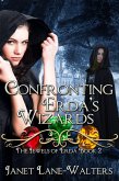 Confronting Erda's Wizards (eBook, ePUB)