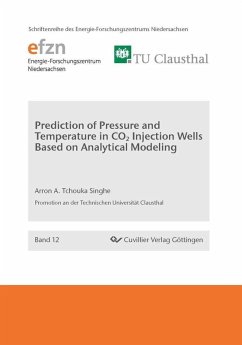 Prediction of Pressure and Temperature in CO2 Injection Wells Based on Analytical Modeling (eBook, PDF)