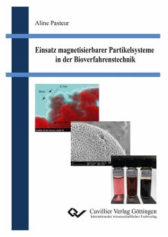 Einsatz magnetisierbarer Partikelsysteme in der Bioverfahrenstechnik (eBook, PDF)