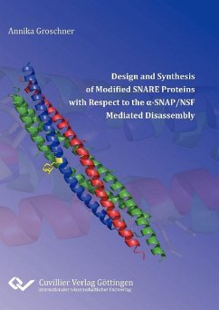 Design and Synthesis of Modified SNARE Proteins with Respect to the α‐SNAP/NSF Mediated Disassembly (eBook, PDF)