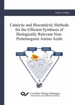 Catalytic and Biocatalytic Methods for the Efficient Synthesis of Biologically Relevant Non-Proteinogenic Amino Acids (eBook, PDF)