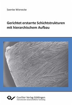 Gerichtet erstarrte Schichtstrukturen mit hierarchischem Aufbau (eBook, PDF)