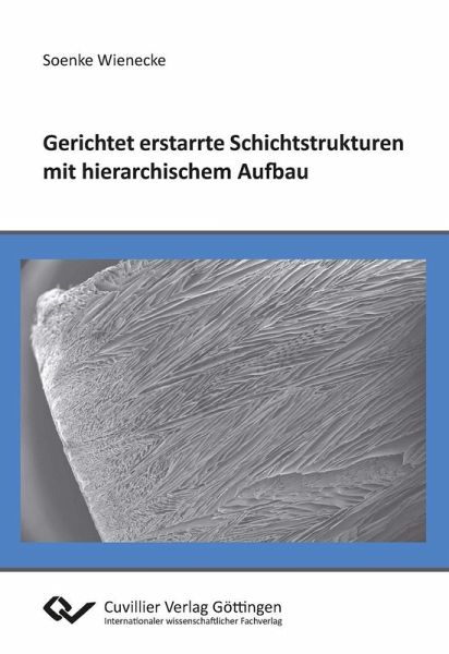 Gerichtet erstarrte Schichtstrukturen mit hierarchischem Aufbau (eBook, PDF) Gerichtet erstarrte Schichtstrukturen mit hierarchischem Aufbau (eBook, PDF)