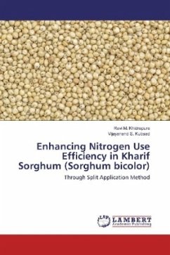 Enhancing Nitrogen Use Efficiency in Kharif Sorghum (Sorghum bicolor) - Khidrapure, Ravi M.;Kubsad, Vijayanand S.