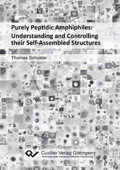 Purely Peptidic Amphiphiles: Understanding and Controlling their Self-Assembled Structures (eBook, PDF)
