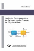 Analyse der Entwicklungsstufen des Carbonate Looping Prozesses zur CO2-Abscheidung (eBook, PDF)