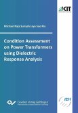 Condition Assessment on Power Transformers using Dielectric Response Analysis (eBook, PDF)
