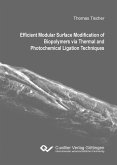 Efficient Modular Surface Modification of Biopolymers via Thermal and Photochemical Ligation Techniques (eBook, PDF)