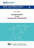 Sprühgranulation in der zirkulierenden Wirbelschicht (eBook, PDF)
