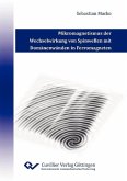 Mikromagnetismus der Wechselwirkung von Spinwellen mit Domänenwänden in Ferromagneten (eBook, PDF)