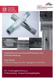 Defekteinflüsse bei Faser-Kunststoff-Verbunden unter multiaxialer Belastung (eBook, PDF)