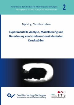Cover Experimentelle Analyse, Modellierung und Berechnung von kondensationsinduzierten Druckstößen (eBook, PDF)
