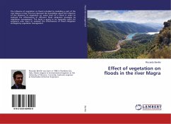 Effect of vegetation on floods in the river Magra