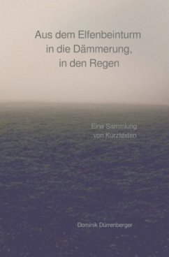 Aus dem Elfenbeinturm in die Dämmerung, in den Regen - Dürrenberger, Dominik