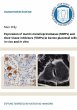 Expression of matrix metalloproteinases... - Bild 1
