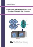 Magnetically and Capillary Driven Grain Boundary Motion in Zinc Bicrystals (eBook, PDF)
