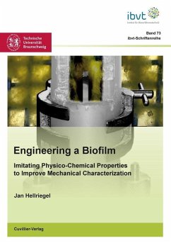 Engineering a Biofilm (eBook, PDF)