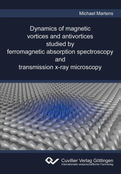 Dynamics of magnetic vortices and antivortices studied by ferromagnetic absorption spectroscopy and transmission x-ray microscopy (eBook, PDF)