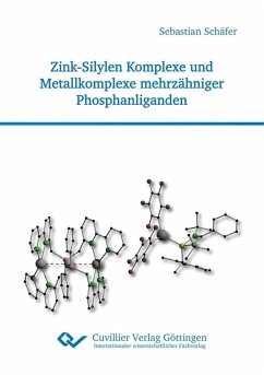 Zink-Silylen Komplexe und Metallkomplexe mehrzähniger Phosphanliganden (eBook, PDF)