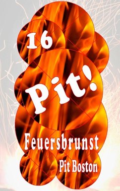 Pit! Feuersbrunst (eBook, ePUB)
