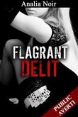 Flagrant Délit (eBook, ePUB)