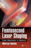 Femtosecond Laser Shaping (eBook, PDF)