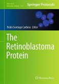 The Retinoblastoma Protein