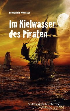 Im Kielwasser des Piraten (eBook, ePUB) - Meister, Friedrich