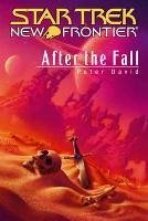 Cover After the Fall (eBook, ePUB)