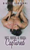 Vice, Virtue, & Video: Captured (eBook, ePUB)