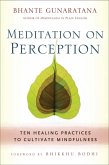 Meditation on Perception (eBook, ePUB)