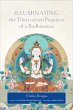 Illuminating the Thirty-Seven Practices... - Bild 1
