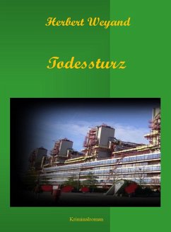 Cover Todessturz (eBook, ePUB)