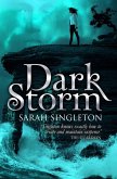 Dark Storm (eBook, ePUB)