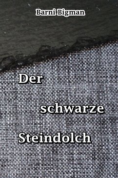 Der schwarze Steindolch (eBook, ePUB) - Bigman, Barni