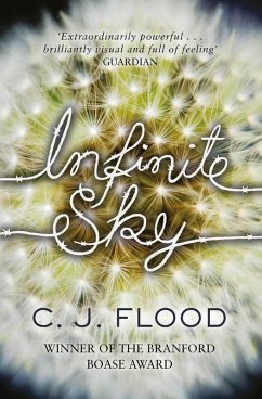 Cover Infinite Sky (eBook, ePUB)