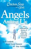 Chicken Soup for the Soul: Angels Among Us (eBook, ePUB)