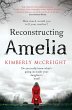 Reconstructing Amelia (eBook, ePUB) - Bild 1