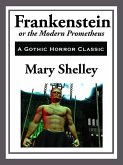 Frankenstein - Start Publishing (eBook, ePUB)