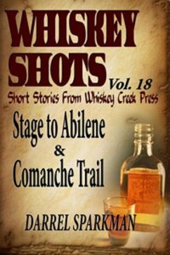 Whiskey Shots (eBook, ePUB) - Sparkman, Darrel